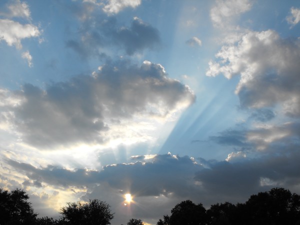 Sunset Rays