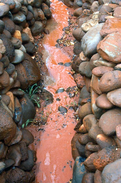 Red Water