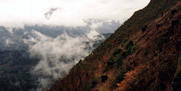 mt higgins 16