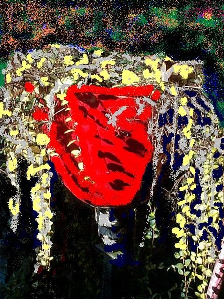 digital red pot