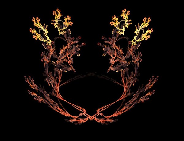 Crown of Thorns