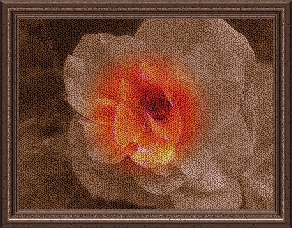 rose serenity