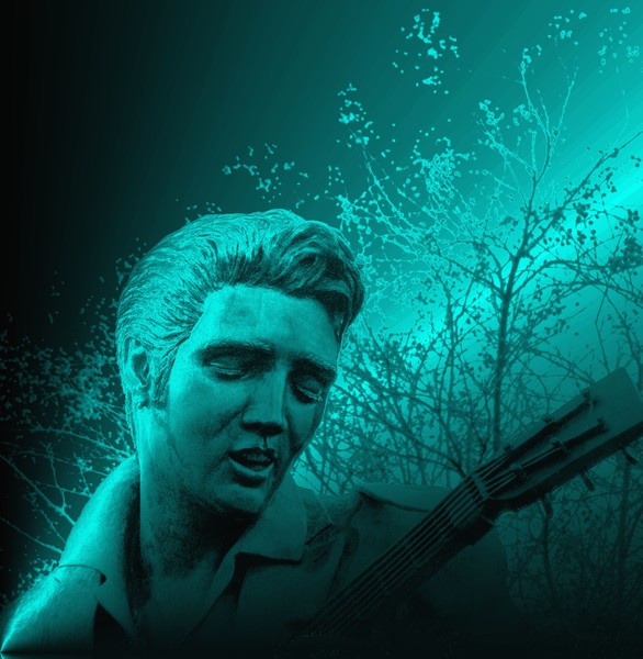 Elvis in our mind
