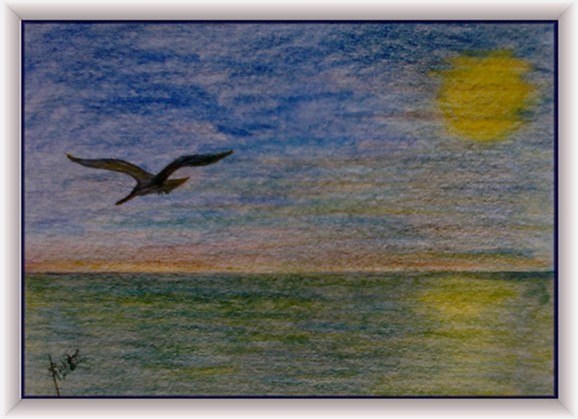 No. 070 Seagull of Sta. Monica