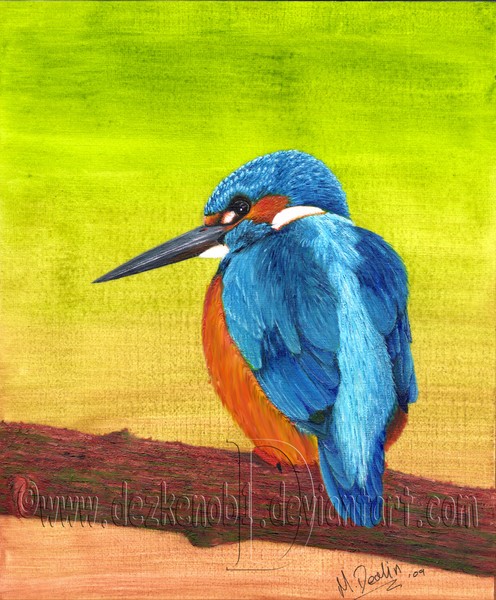Kingfisher