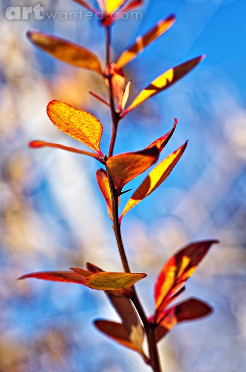 Nice Autumn Day
