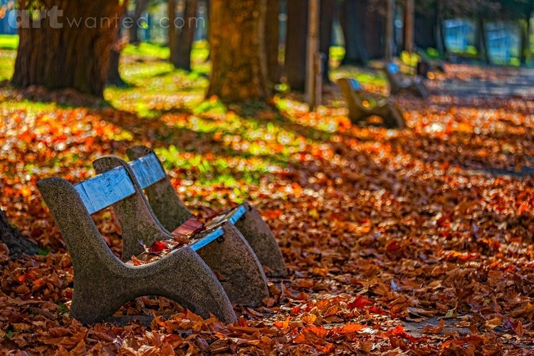 Autumn in the Park