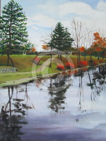 Reflections
