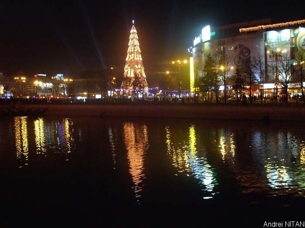 Christmas tree in Bucharest
