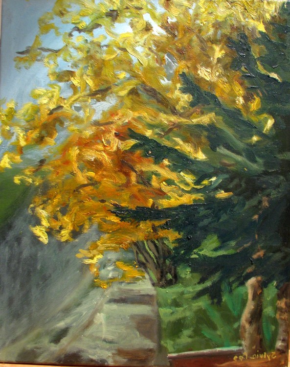 16x19