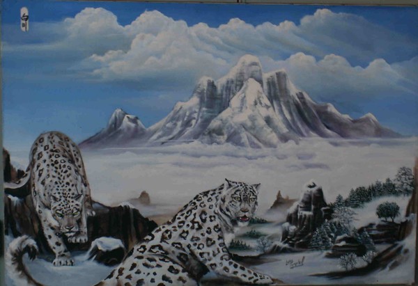snow cats