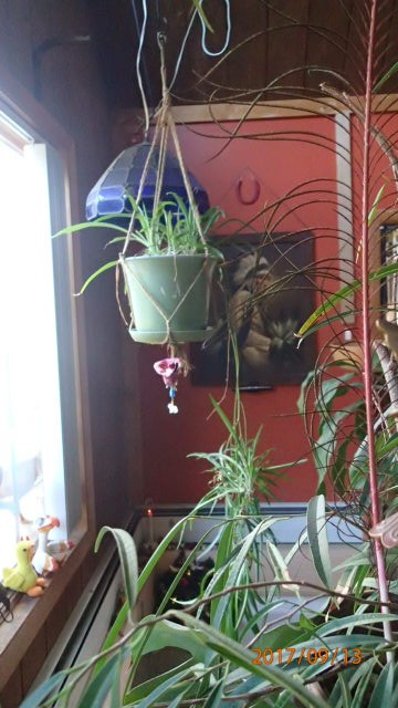 P9130328