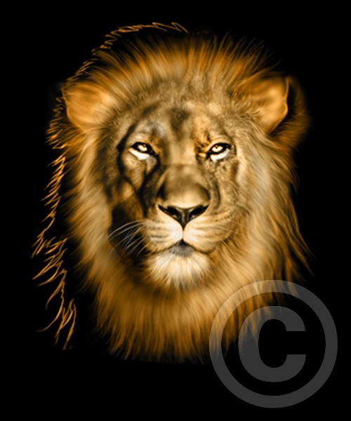 lion