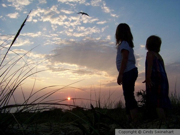 Sunset sillouhette