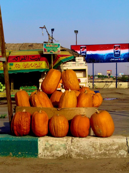 Pumpkin