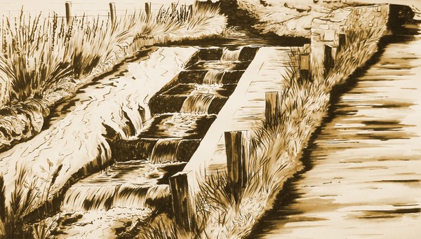 Brookhouse Salmon Steps