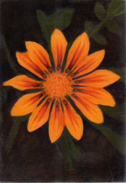 The gaudy leonine sunflower Hangs black and barren