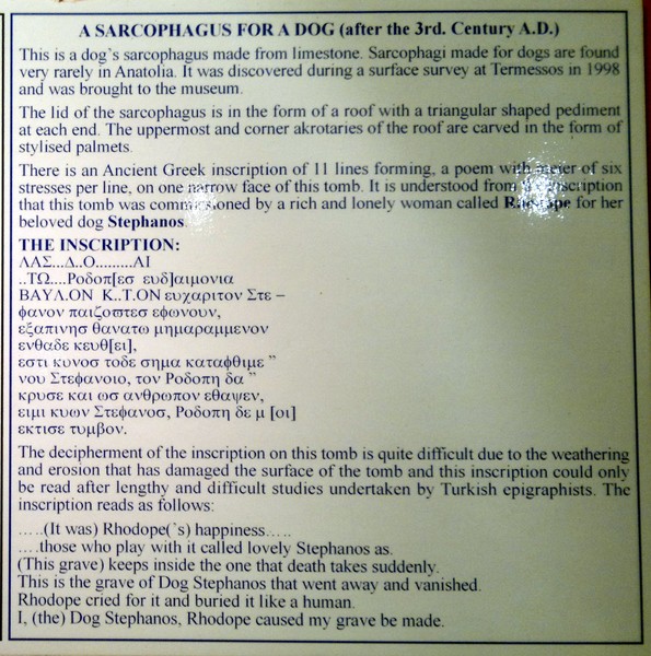 A SARCOPHAGUS FOR A DOG