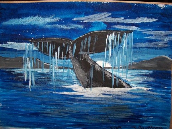 Cold Arctic Night