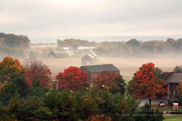 An Autumn Morning