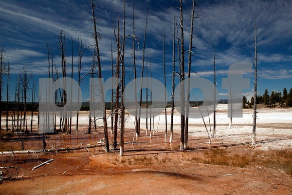 Barren Yellowstone