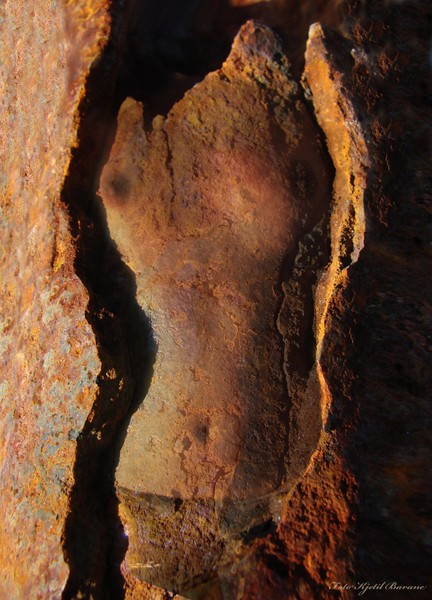 rusty lady