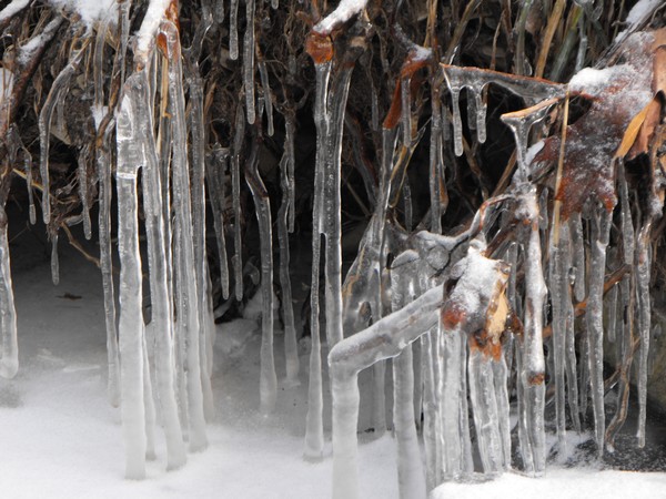 Icicles