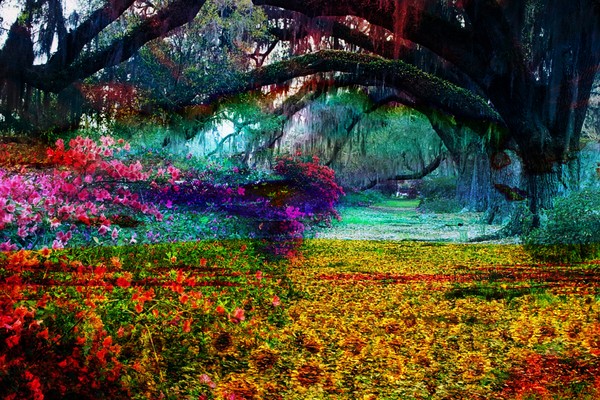 Willow Garden Flowers, Impressionism