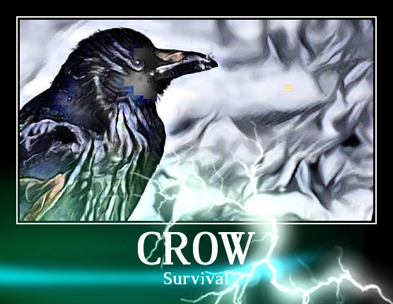 Survival
