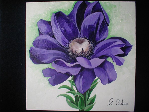 Anemone