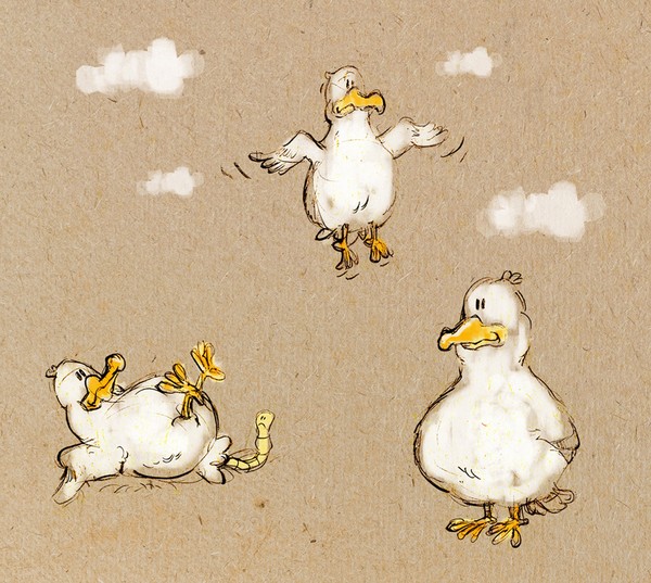 Seagull
