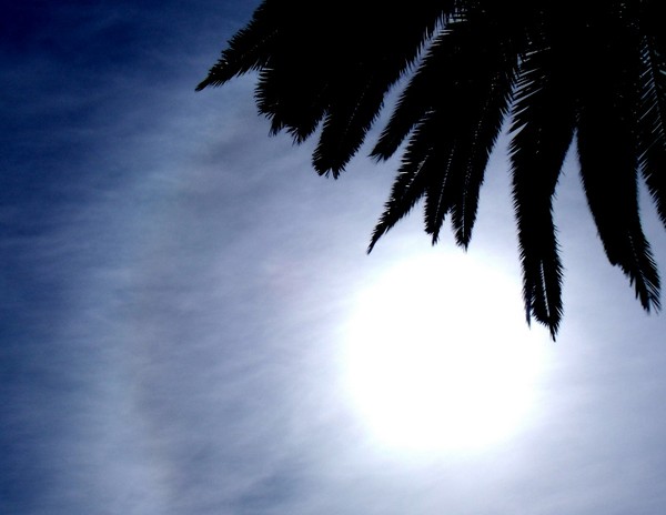 Sun Halo 3