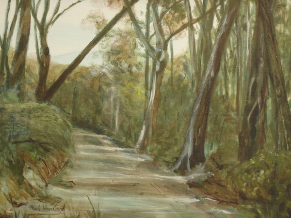 Kinglake Track