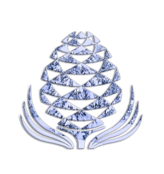 Clipped Pine Cone - Winter