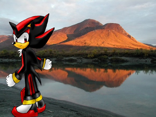 The Ultimate Life Form Shadow