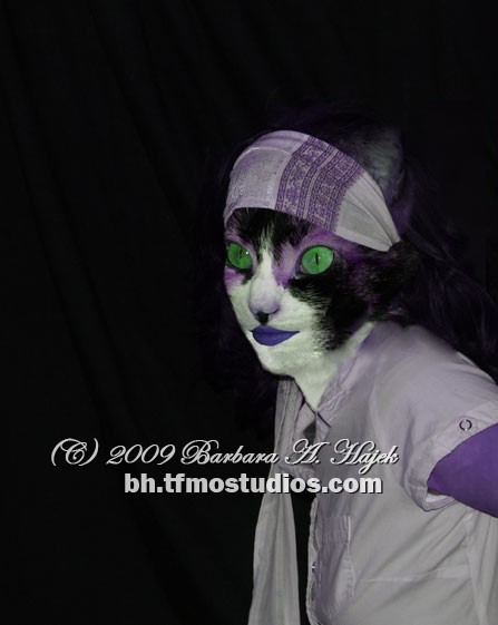 Cheshire