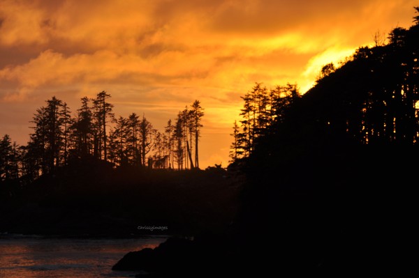 Sunset in Uclulet BC