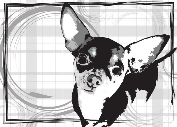 chiart8