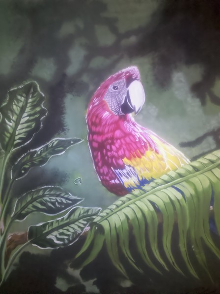 Parrot