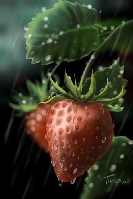 Strawberries in the Rain