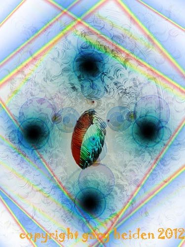 metaphysical whim