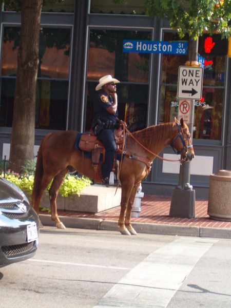 on the streets of old cow town II