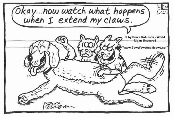 BOW WOWS & MEOWS® CAT Cartoon - 