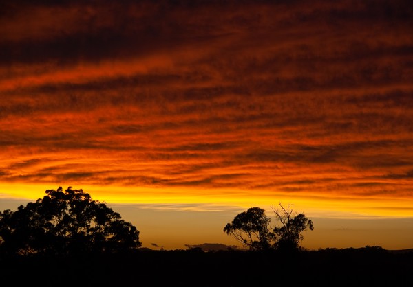 Sunset 10 Dec 2010