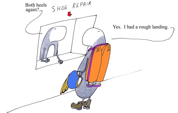 a rough landing