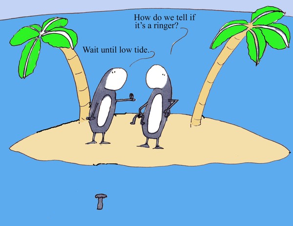 wait until low tide