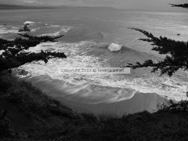 Secret Cove