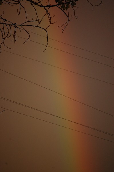 Rainbow