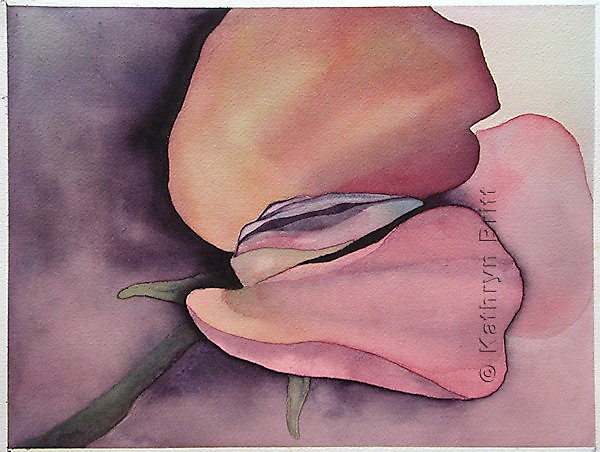 sweet pea by kate