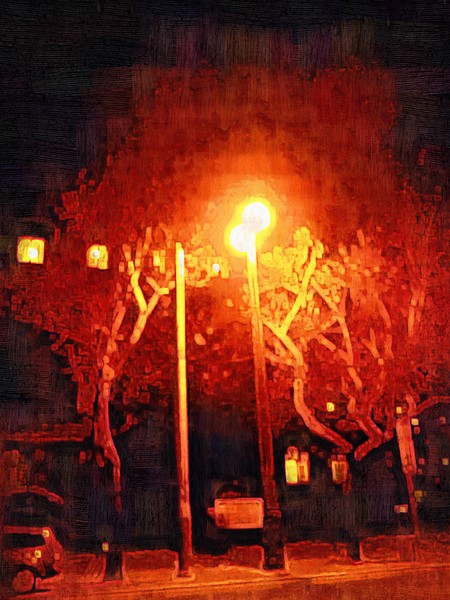 The Magical  tree &  the light